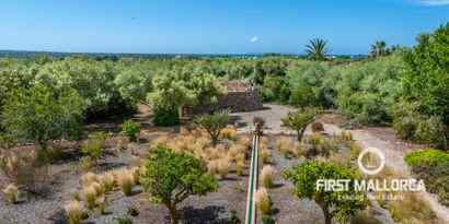 Immobilien picture 22 Ref. Nr. 67368