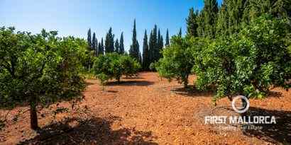Real Estates picture 21 Ref. Nr. 67898