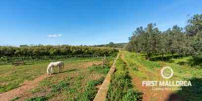 Inmobiliaria picture 22 Ref. Nº. 68268