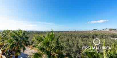 Inmobiliaria picture 19 Ref. Nº. 68268