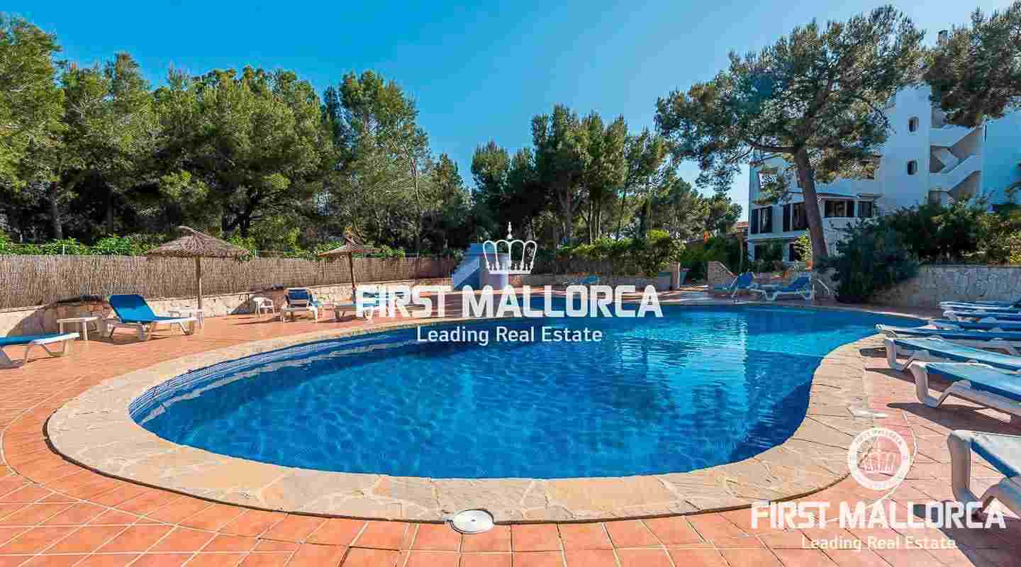 Wohnung Mieten Mallorca Costa De La Calma Wohnung Mieten Mallorca Costa De La Calma