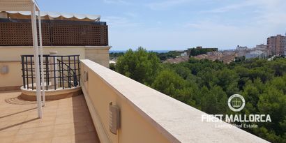 Real Estates picture 9 Ref. R15347