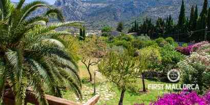 Immobilien picture 11 Ref. Nr. 69339