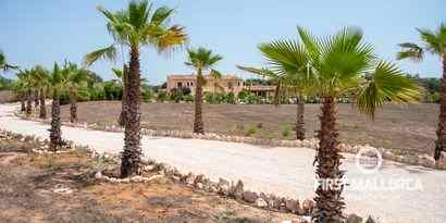 Real Estates picture 20 Ref. 63768
