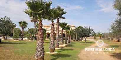 Immobilien picture 24 Ref. Nr. 69542