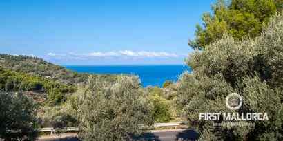 Immobilien picture 8 Ref. Nr. 69199