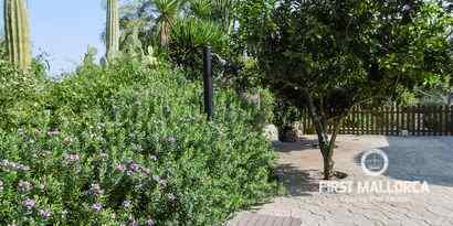 Real Estates picture 14 Ref. Nr. R15636