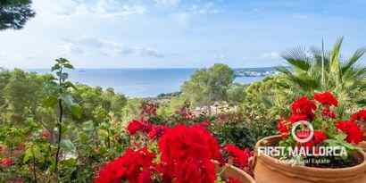 Inmobiliaria picture 7 Ref. Nº. R15515