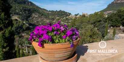 Inmobiliaria picture 26 Ref. Nº. 69190