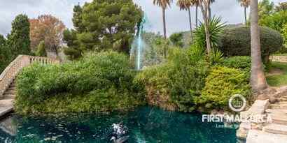 Immobilien picture 82 Ref. Nr. 69856