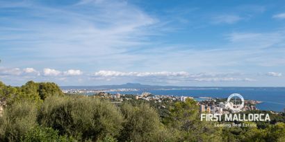 Immobilien picture 79 Ref. Nr. 69856