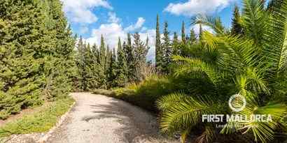 Real Estates picture 22 Ref. Nr. 70234