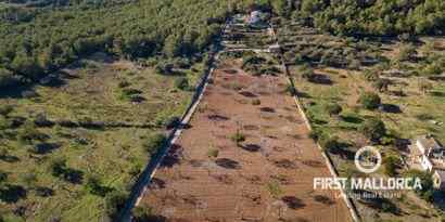 Inmobiliaria picture 22 Ref. Nº. 70418