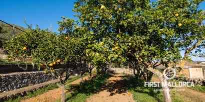 Inmobiliaria picture 27 Ref. Nº. 70418