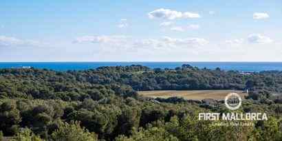 Inmobiliaria picture 3 Ref. Nº. 70418