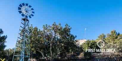 Inmobiliaria picture 26 Ref. Nº. 70418