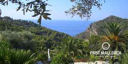 Real Estates picture 0 Ref. R16311