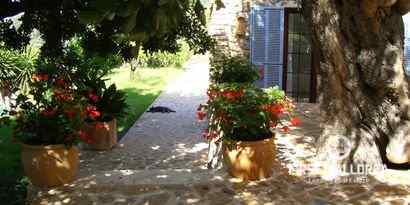 Real Estates picture 2 Ref. R16311