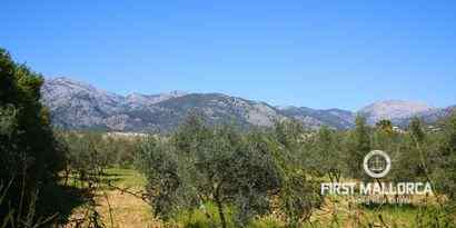 Inmobiliaria picture 1 Ref. Nº. R16591