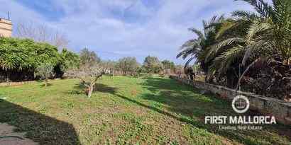 Real Estates picture 2 Ref. 70709