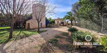 Real Estates picture 19 Ref. 70709