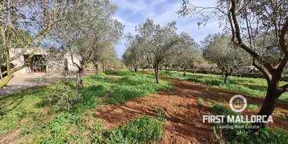 Real Estates picture 17 Ref. 70709