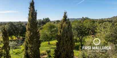 Immobilien picture 31 Ref. Nr. 67980