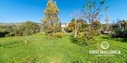 Immobilien picture 17 Ref. Nr. 67980