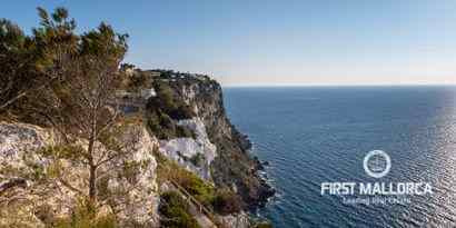 Immobilien picture 7 Ref. Nr. 65893