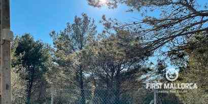 Immobilien picture 1 Ref. Nr. 70975