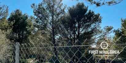 Immobilien picture 0 Ref. Nr. 70975