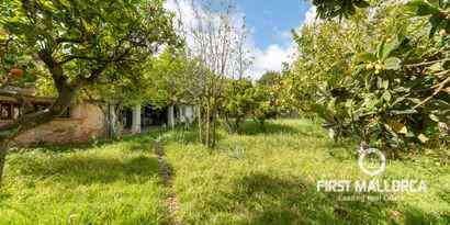 Inmobiliaria picture 8 Ref. Nº. 70113