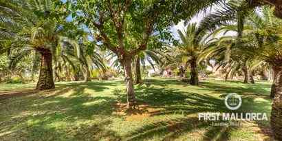 Real Estates picture 13 Ref. Nr. 69986