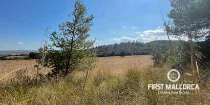 Immobilien picture 1 Ref. Nr. 72190