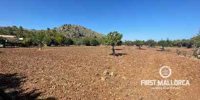 Immobilien picture 16 Ref. Nr. 72173