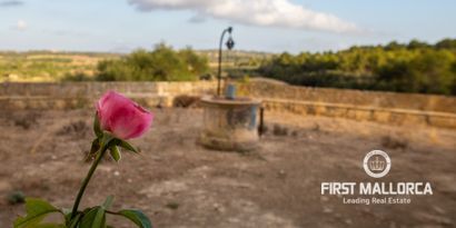 Real Estates picture 12 Ref. 71719