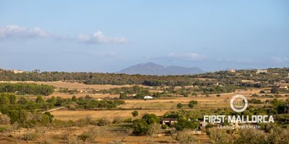 Real Estates picture 4 Ref. 71719