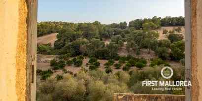 Real Estates picture 7 Ref. 71719