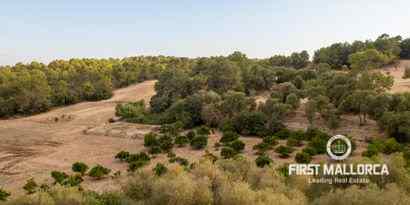 Real Estates picture 6 Ref. 71719