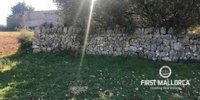 Real Estates picture 6 Ref. 71995