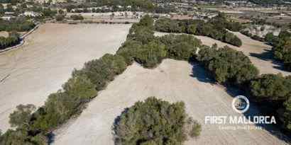 Real Estates picture 36 Ref. 71719