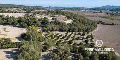 Real Estates picture 3 Ref. 71719