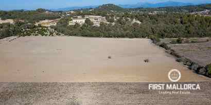 Real Estates picture 32 Ref. 71719