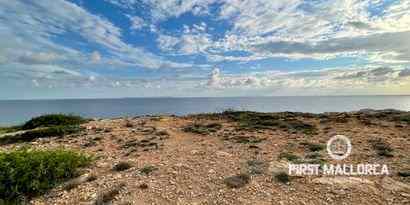Inmobiliaria picture 0 Ref. Nº. 72885