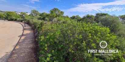 Inmobiliaria picture 3 Ref. Nº. 72898