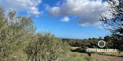 Real Estates picture 8 Ref. Nr. 73251