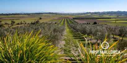 Real Estates picture 30 Ref. Nr. 73542