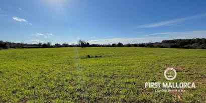 Inmobiliaria picture 10 Ref. Nº. 73783