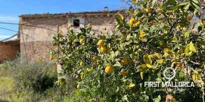 Inmobiliaria picture 8 Ref. Nº. 73783