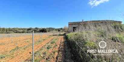 Inmobiliaria picture 11 Ref. Nº. 73783